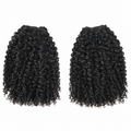 Afro Curly Bundles